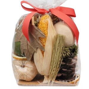 Sonoma Goods For Life® Pumpkin Spice Mini Fall Potpourri
